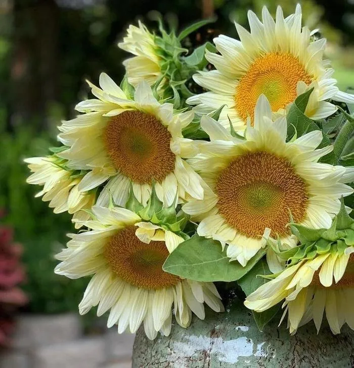 Expert outdoor landscaping for outdoor upgrades in Marstons Mills, MA by DeMelo Brothers