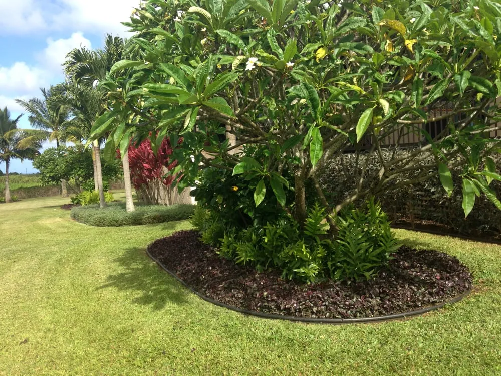 Expert landscaping services in Kapaa, HI - Demerin's Landscape Services