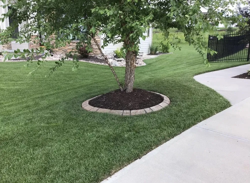Custom lawn mowing service for beautiful yards across Seward, NE - DeMers Curbing