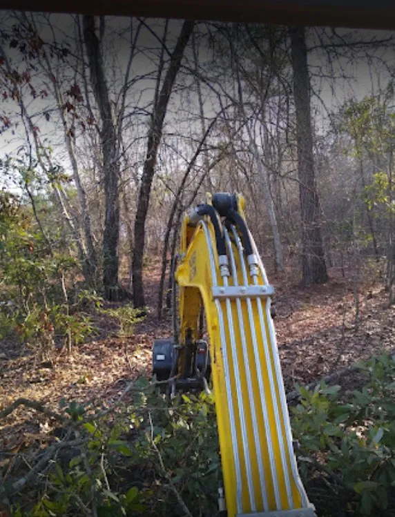 Top-rated yard cleanup service for homes across Sumter, SC - Demery Innovation