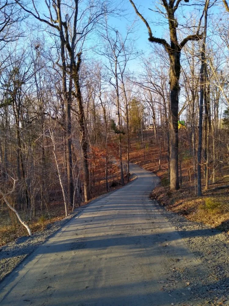 Custom lawn care service in Sumter, SC by Demery Innovation