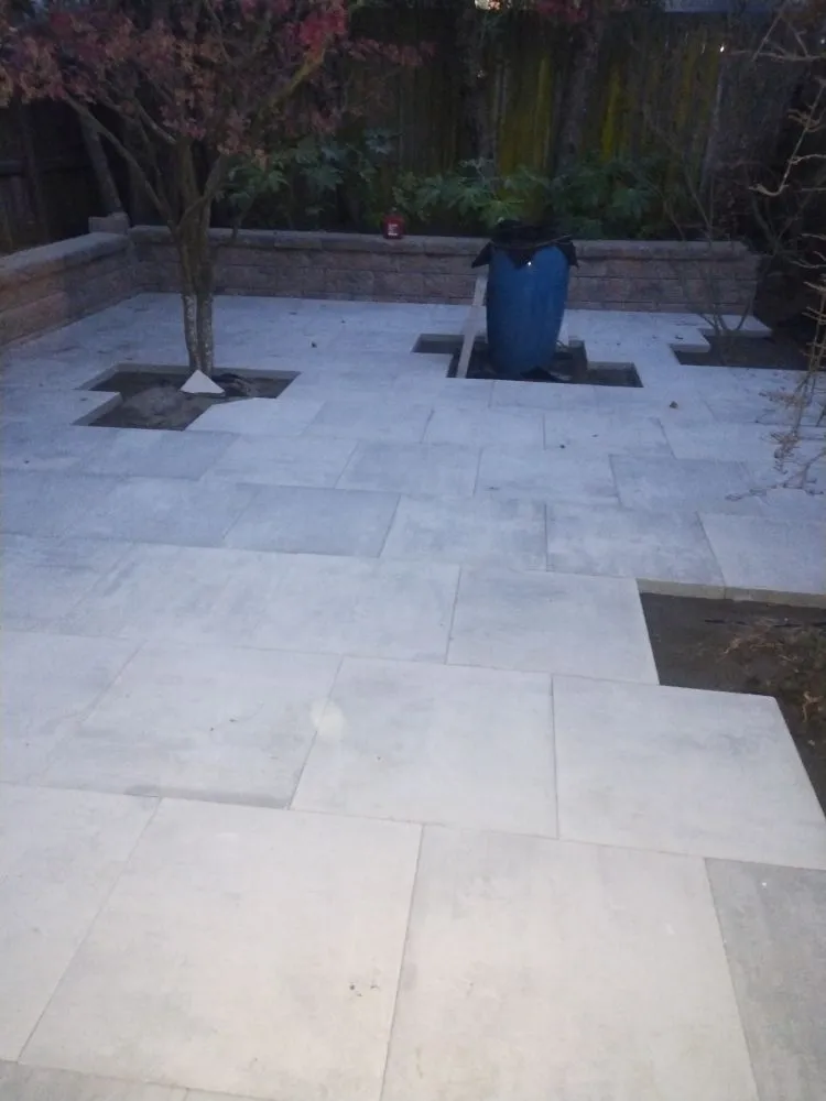 Top-rated lawn care service for year-round maintenance in San Mateo, CA by Demetrio's Landscaping