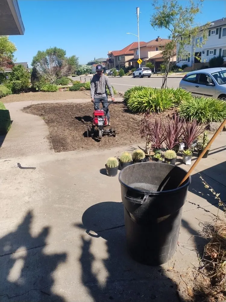 Local landscaping services in San Mateo, CA by Demetrio's Landscaping