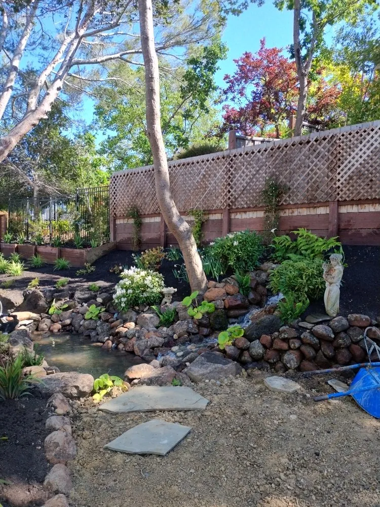Local garden landscaping experts serving San Mateo, CA - Demetrio's Landscaping