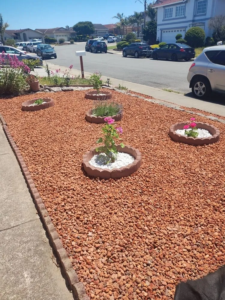 Custom landscape design for residential properties in San Mateo, CA by Demetrio's Landscaping