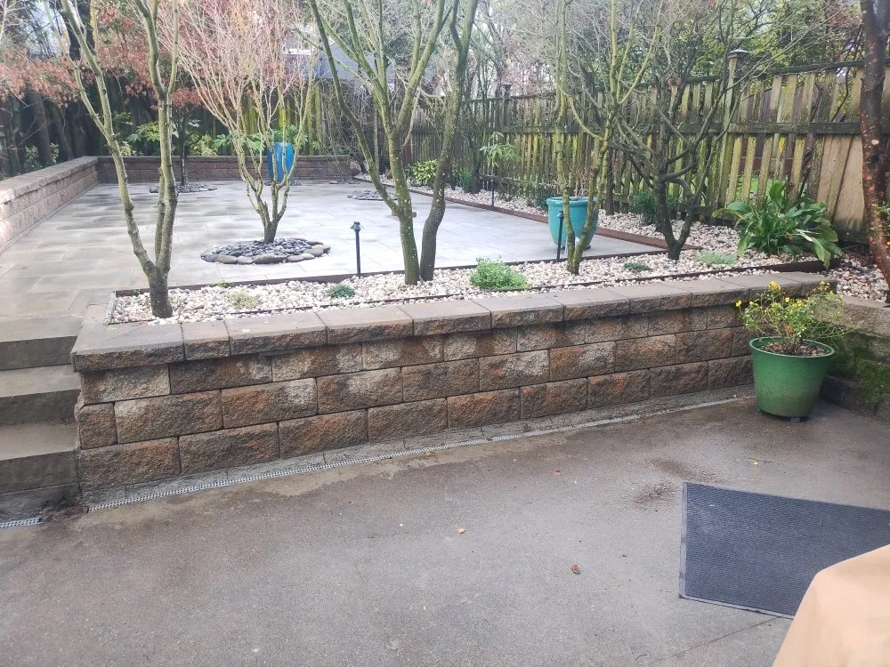 Top-rated yard cleanup service in San Mateo, CA - Demetrio's Landscaping