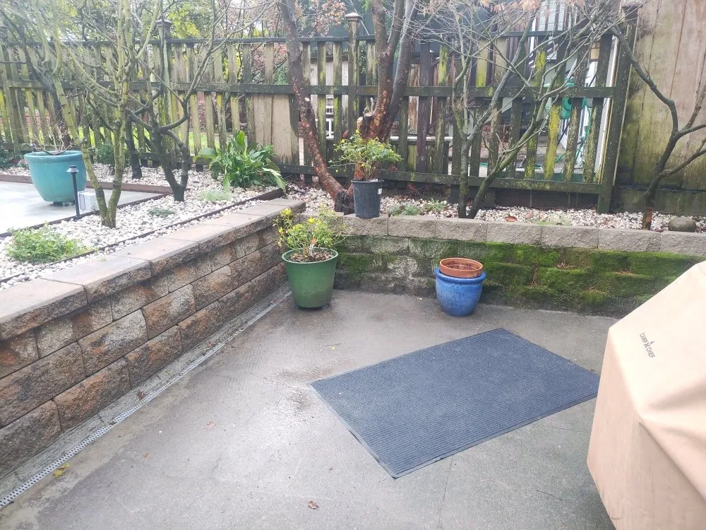 Top-rated residential landscaping experts serving San Mateo, CA - Demetrio's Landscaping