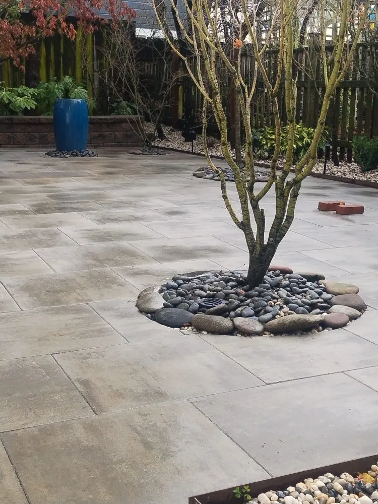 Reliable yard cleanup service for residential properties across San Mateo, CA - Demetrio's Landscaping