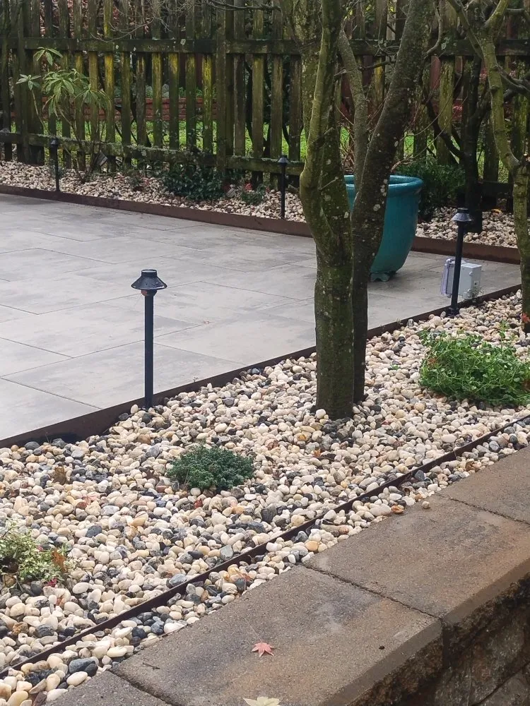 Professional yard cleanup service in San Mateo, CA - Demetrio's Landscaping