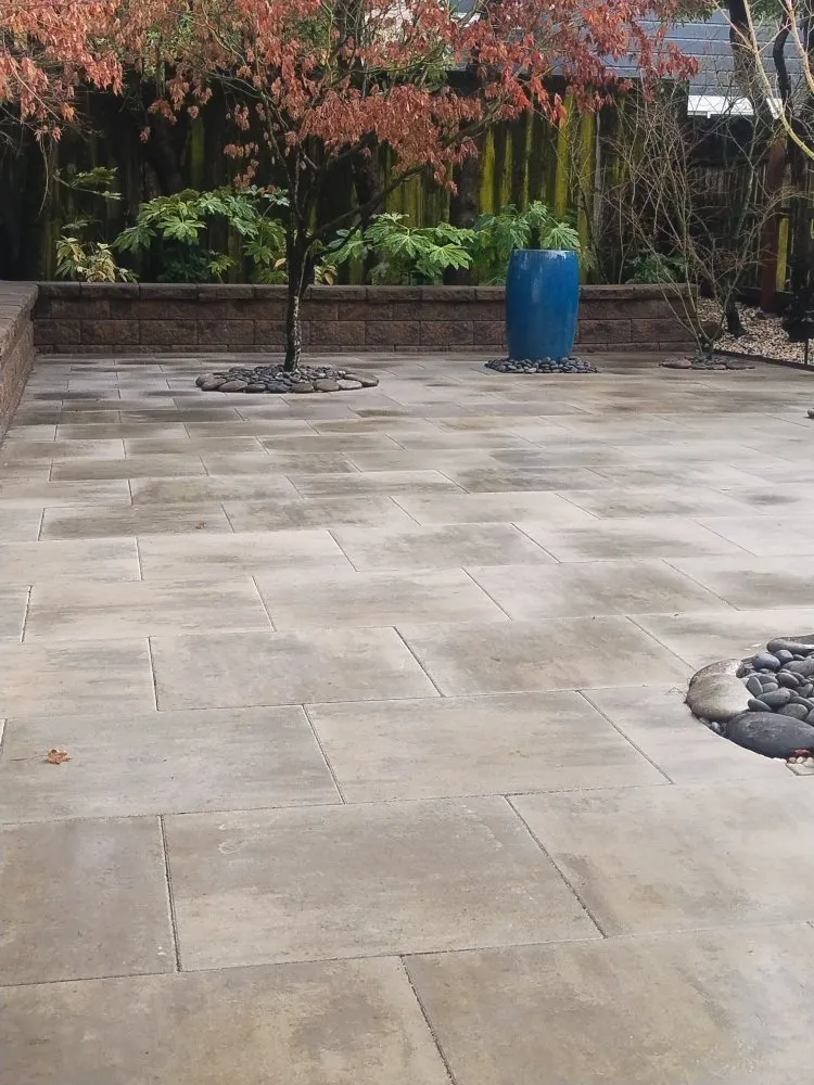 Top-rated outdoor landscaping for year-round maintenance across San Mateo, CA - Demetrio's Landscaping