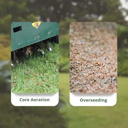 Affordable landscaping services in Woodbridge, VA by Deming Lawn & Landscape