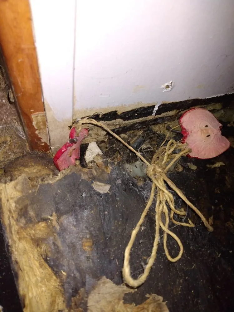 Trusted yard cleanup service for residential properties across Auburn, IN - Demo Dude