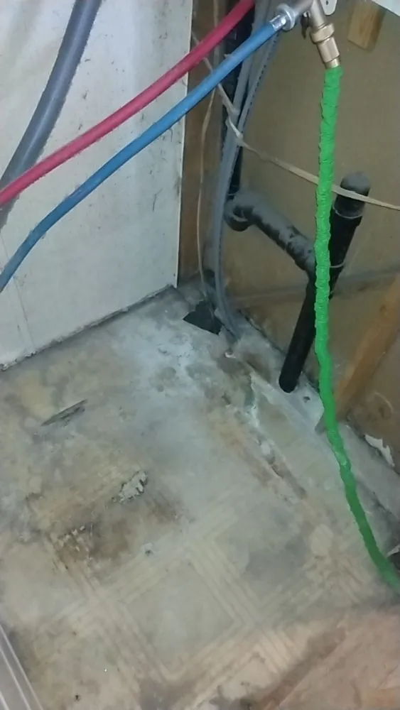 Reliable yard cleanup service for outdoor upgrades in Auburn, IN by Demo Dude