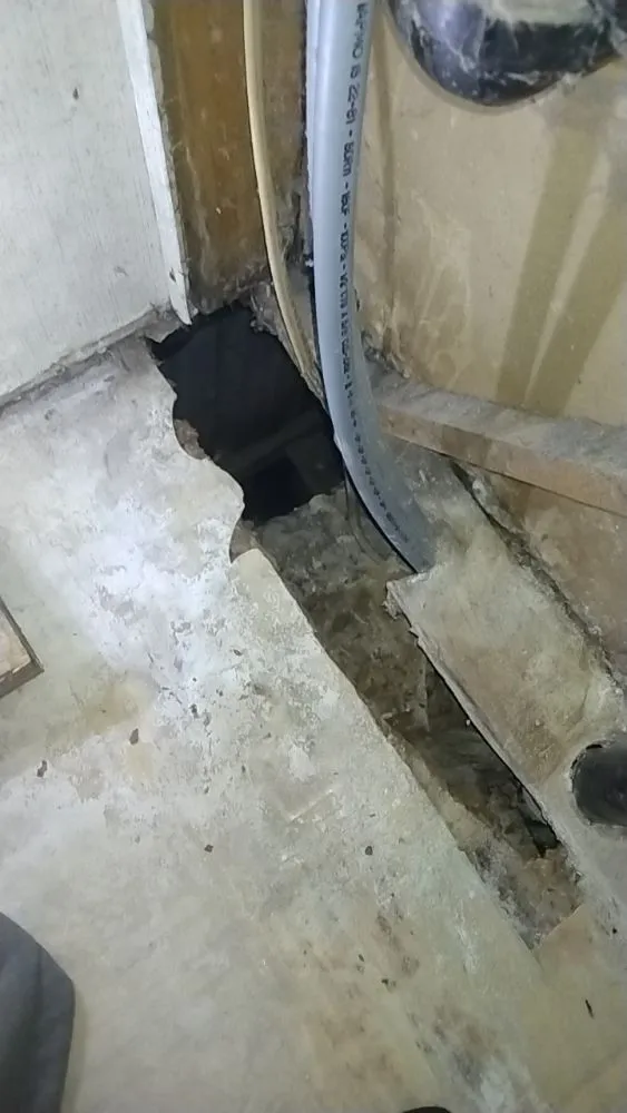 Trusted lawn mowing service near you across Auburn, IN - Demo Dude