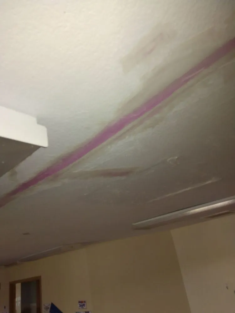 Top-rated yard cleanup service in Auburn, IN - Demo Dude