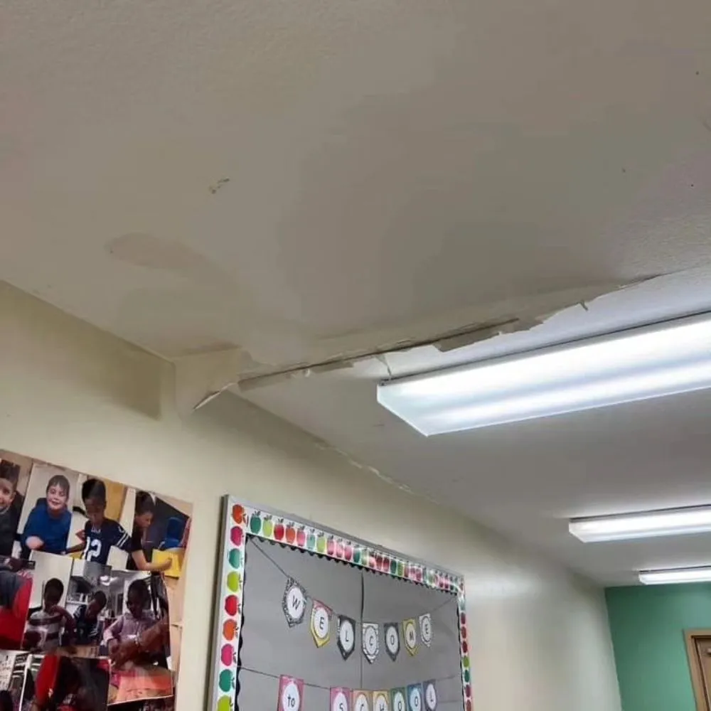 Local landscape design with custom design in Auburn, IN by Demo Dude