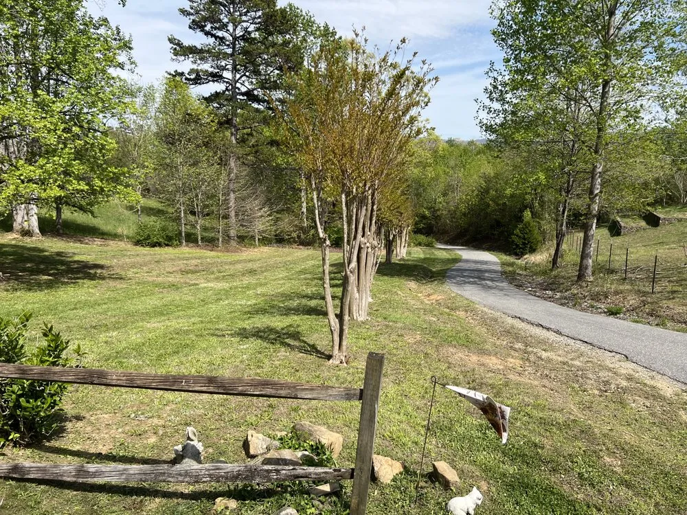 Top-rated lawn mowing service experts serving Marion, NC - Demon Deacons Lawn Care