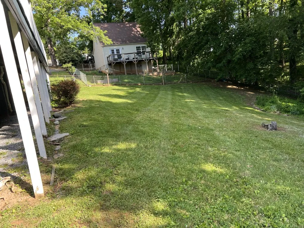 Professional yard cleanup service in Marion, NC - Demon Deacons Lawn Care