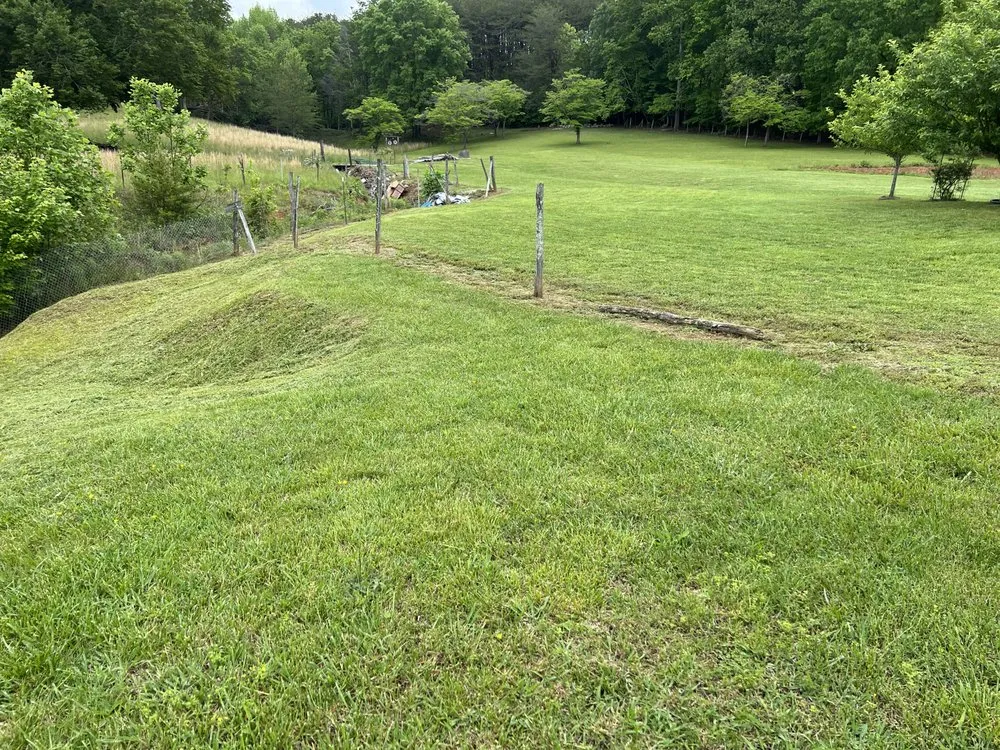 Expert yard maintenance for beautiful yards in Marion, NC by Demon Deacons Lawn Care