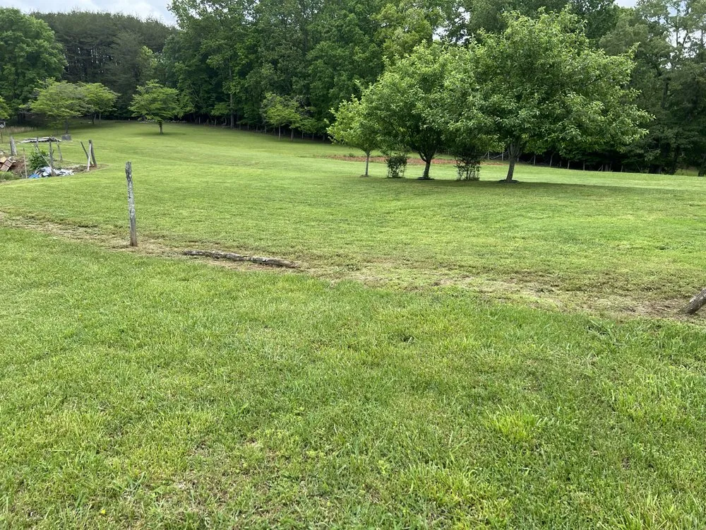 Local yard maintenance experts serving Marion, NC - Demon Deacons Lawn Care