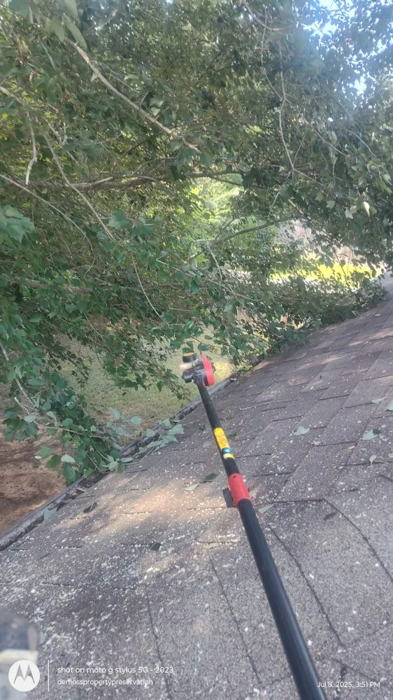 Reliable outdoor landscaping for beautiful yards across Good Hope, AL - Demoss Property Preservation