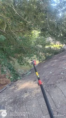 Demoss Property Preservation