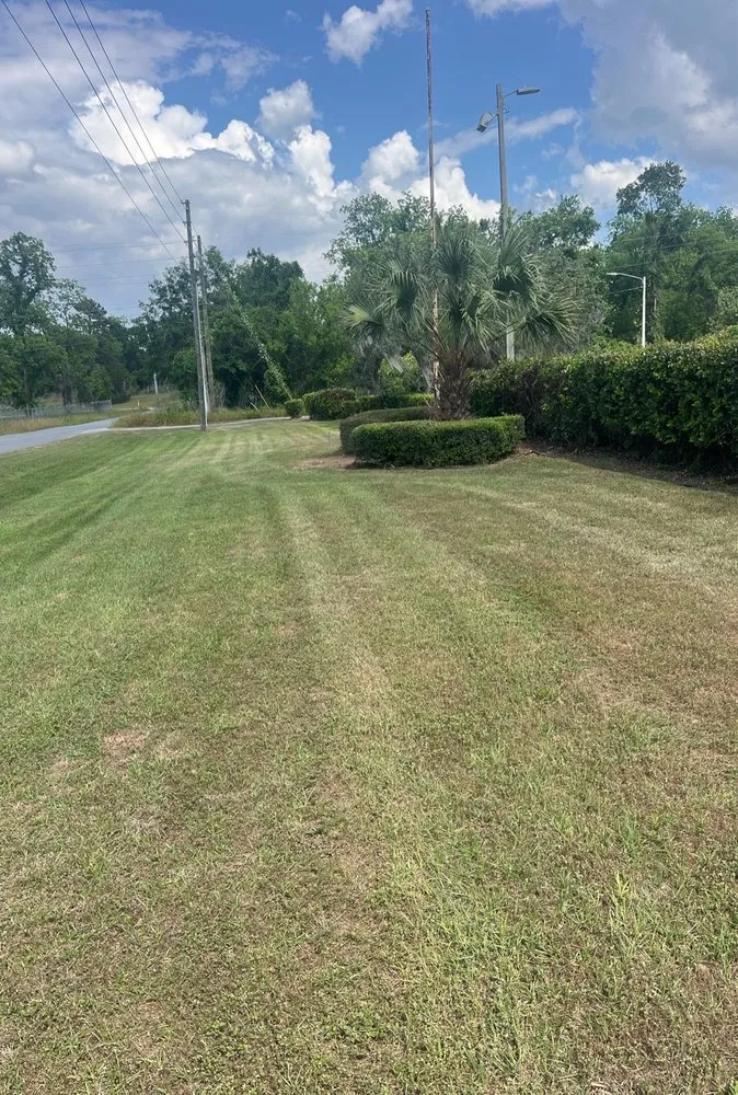 Affordable yard maintenance in Madison, FL by Demps Lawn Care