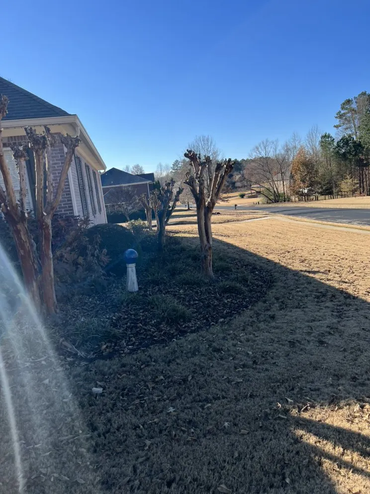 Reliable landscape design for homes across Athens, AL - Dempsey Boys Lawn Care