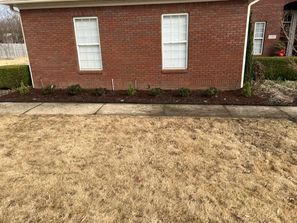 Affordable lawn care service in Athens, AL - Dempsey Boys Lawn Care