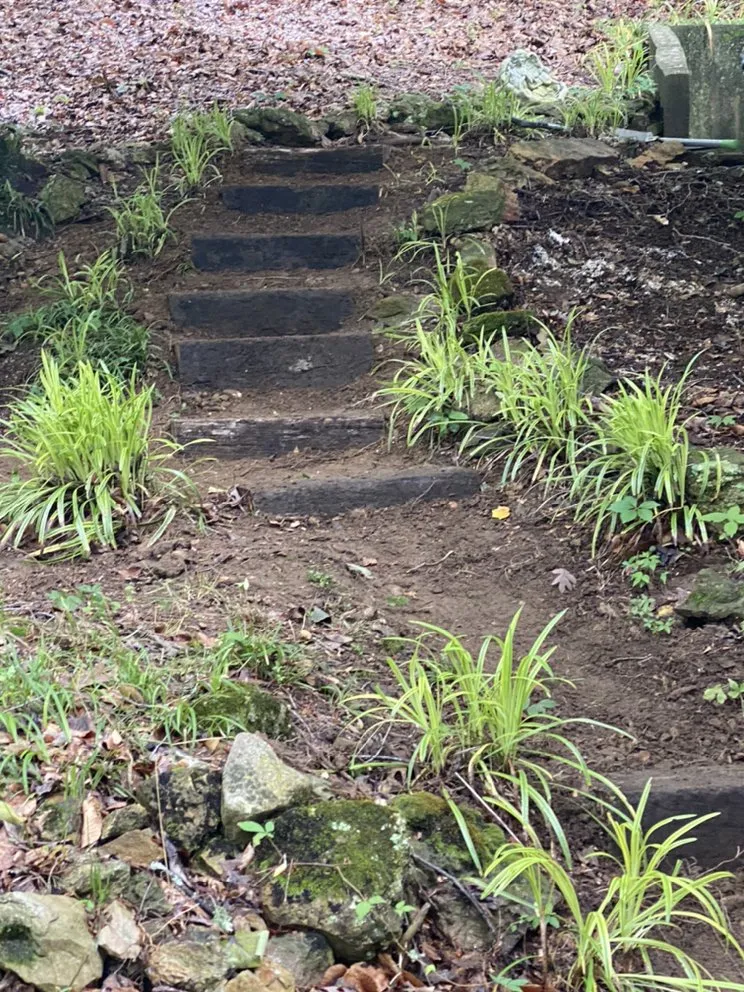 Trusted lawn care service experts serving Athens, AL - Dempsey Boys Lawn Care