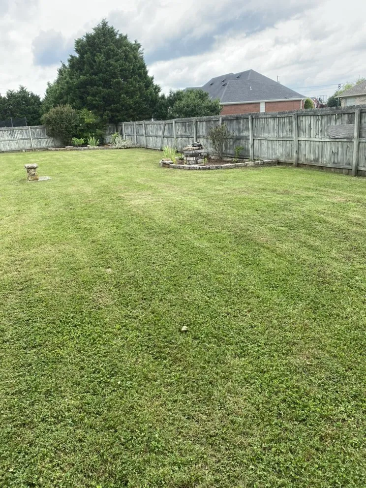 Custom yard cleanup service in Athens, AL - Dempsey Boys Lawn Care