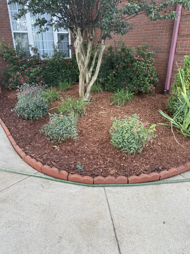 Custom lawn care service in Athens, AL - Dempsey Boys Lawn Care