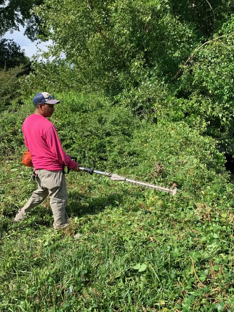 Trusted residential landscaping with custom design in Knoxville, TN by Dempster Brothers Lawn Care & Landscaping