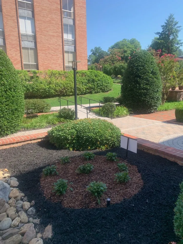 Local yard cleanup service for beautiful yards across Knoxville, TN - Dempster Brothers Lawn Care & Landscaping