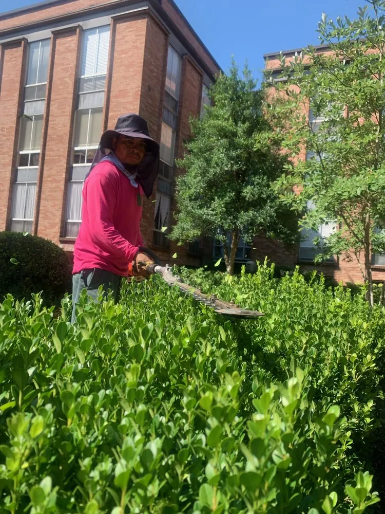 Reliable yard cleanup service in Knoxville, TN by Dempster Brothers Lawn Care & Landscaping