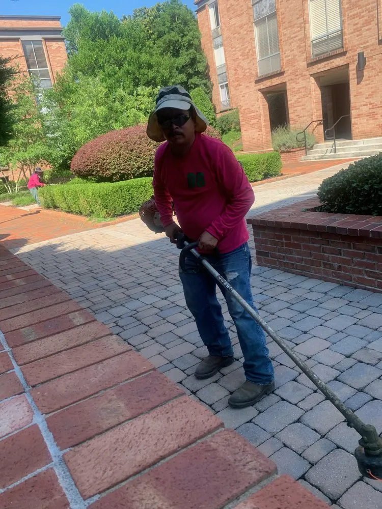 Top-rated landscape installation experts serving Knoxville, TN - Dempster Brothers Lawn Care & Landscaping