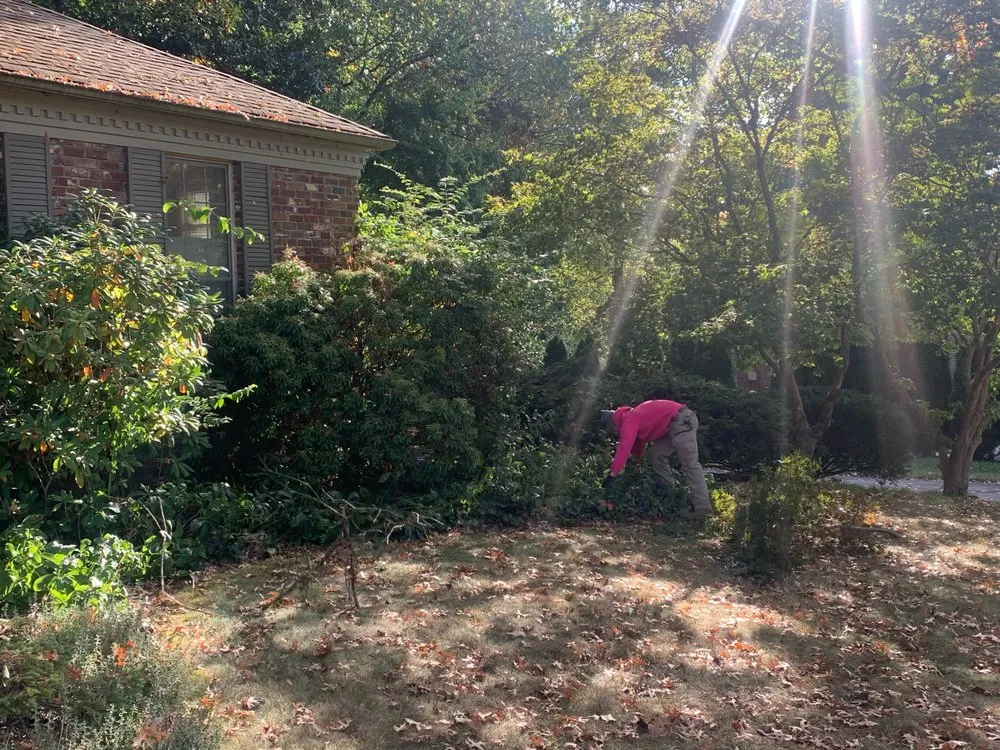 Trusted landscaping services for beautiful yards in Knoxville, TN by Dempster Brothers Lawn Care & Landscaping