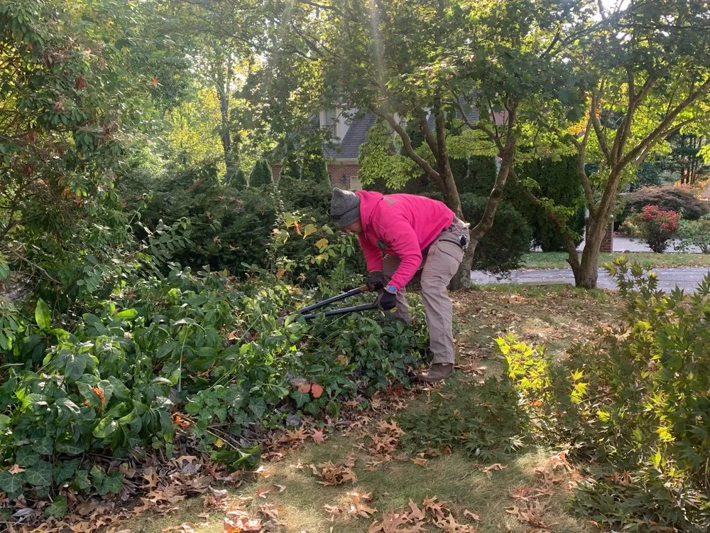 Trusted yard maintenance in Knoxville, TN by Dempster Brothers Lawn Care & Landscaping