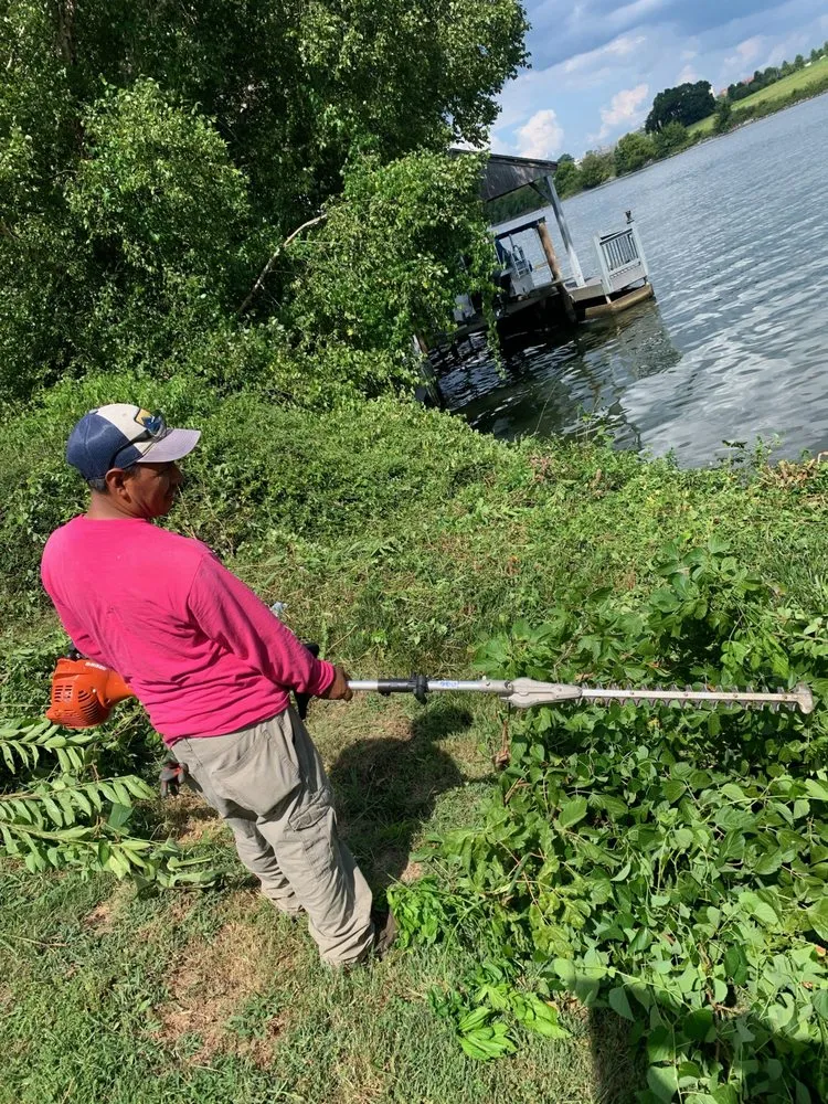 Professional yard maintenance for residential properties in Knoxville, TN by Dempster Brothers Lawn Care & Landscaping