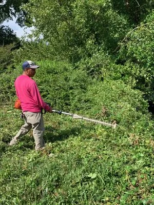 Dempster Brothers Lawn Care & Landscaping Logo