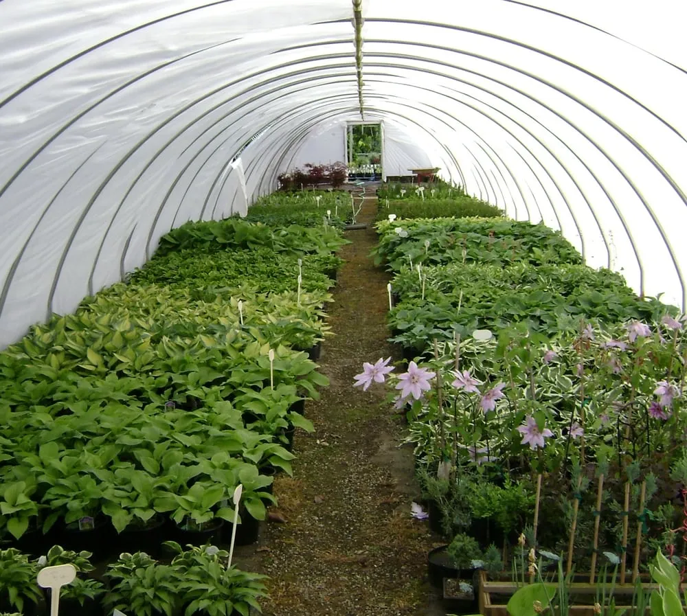 Professional lawn care service experts serving Defiance, OH - DeMuth Nursery