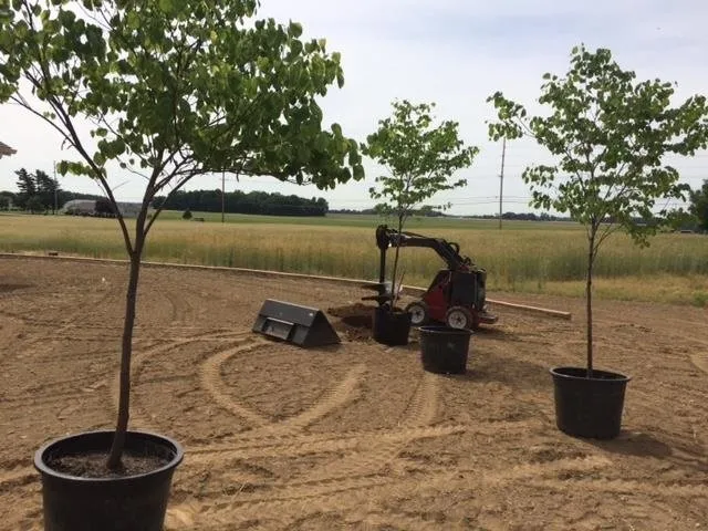 Affordable residential landscaping for beautiful yards across Defiance, OH - DeMuth Nursery