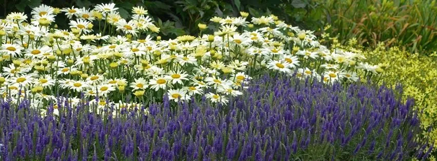 Local landscape installation with custom design across Defiance, OH - DeMuth Nursery