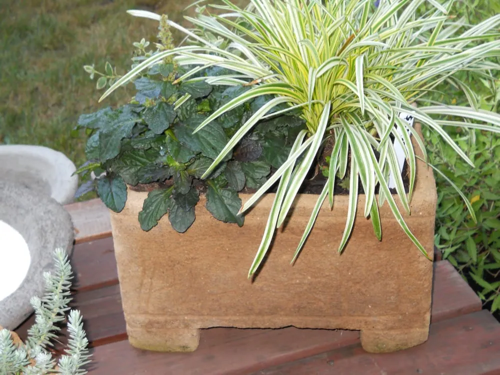 Local outdoor landscaping for residential properties across Defiance, OH - DeMuth Nursery