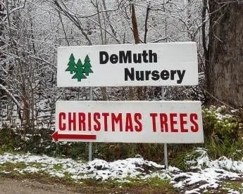 Trusted yard maintenance in Defiance, OH - DeMuth Nursery