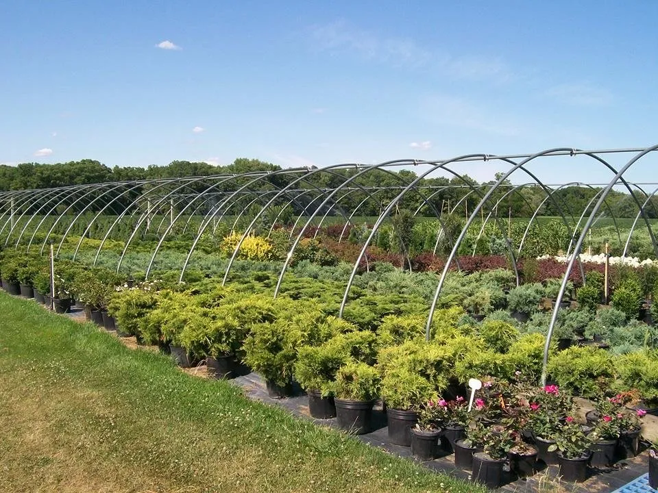 Affordable landscaping services for year-round maintenance across Defiance, OH - DeMuth Nursery