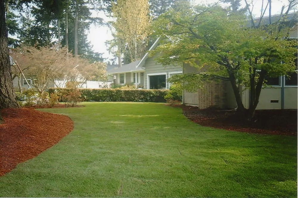 Local lawn care service experts serving Seattle, WA - Denali Landscaping Services