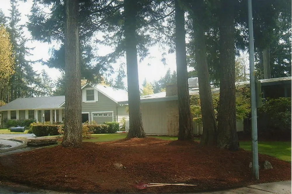 Top-rated outdoor landscaping for year-round maintenance across Seattle, WA - Denali Landscaping Services