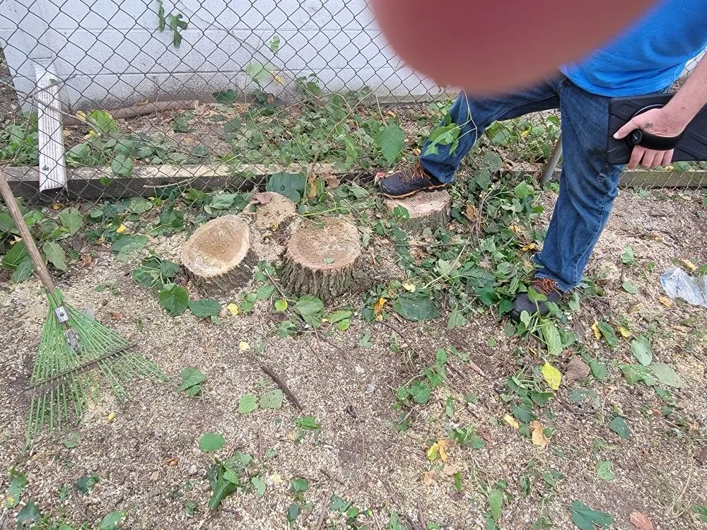 Local landscaping services experts serving Holly, MI - Dendy's Landscaping & Tree Removal