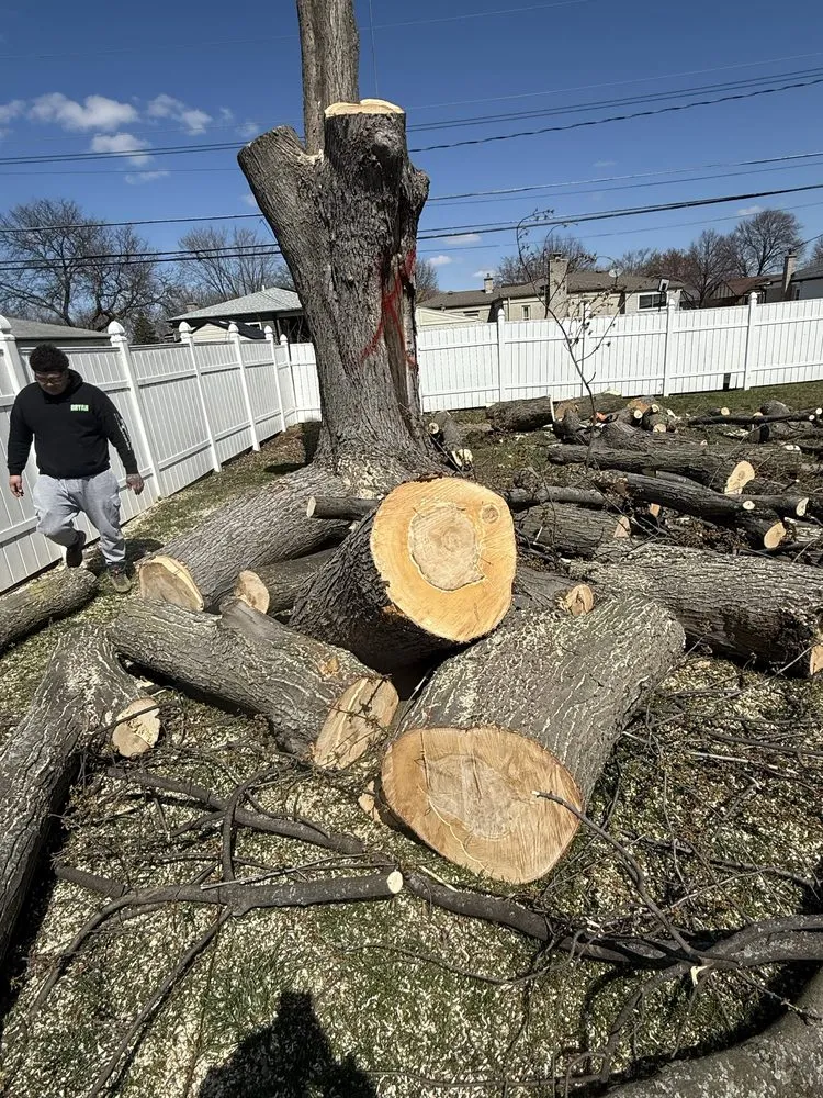 Trusted lawn care service experts serving Davisburg, MI - Dendy’s Landscaping And Tree Removal